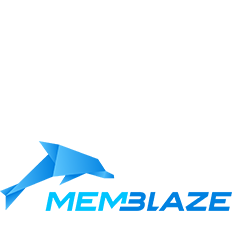 Memblaze のご紹介